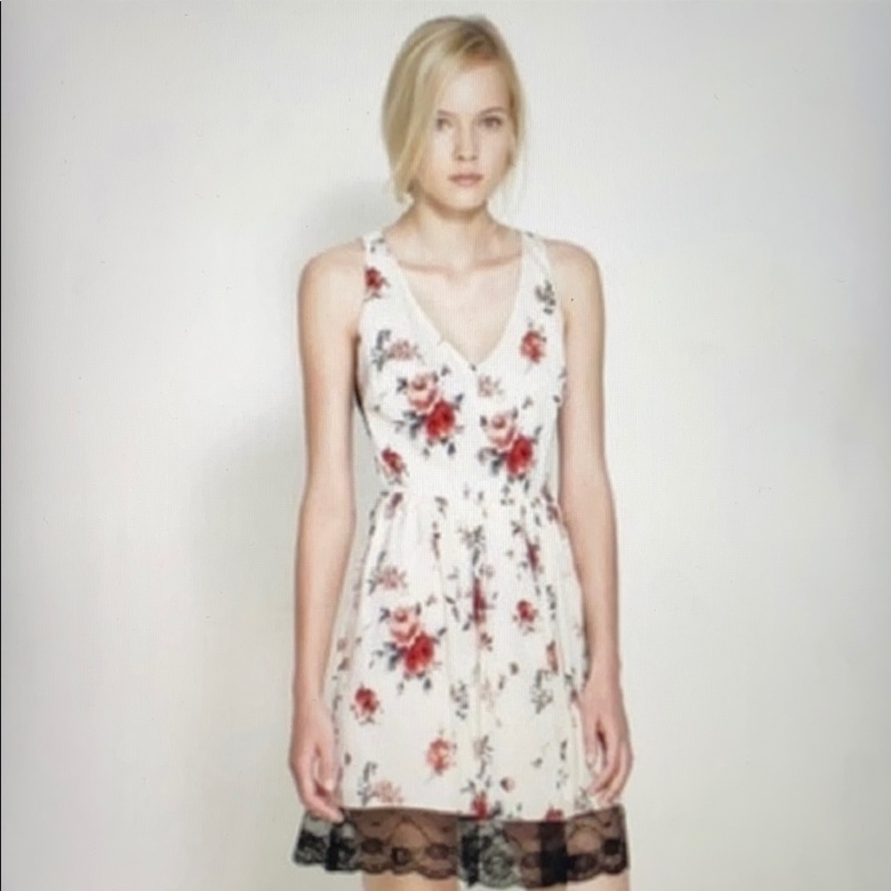 ZARA Cream Floral Rose Black Lace Trim Dress